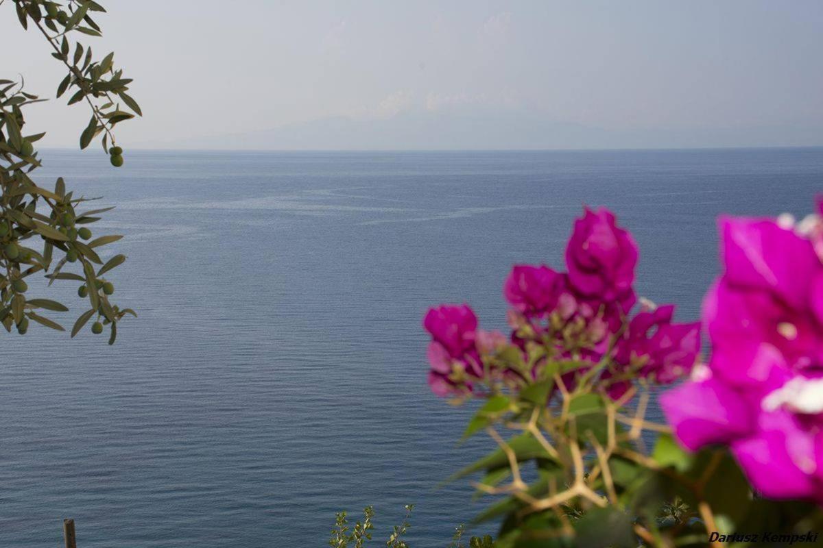 Blue View Hotel Кепаро Екстериор снимка