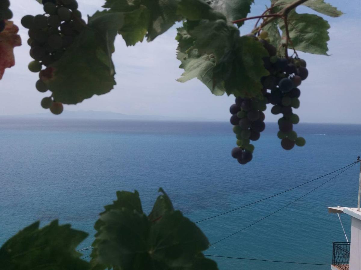 Blue View Hotel Кепаро Екстериор снимка
